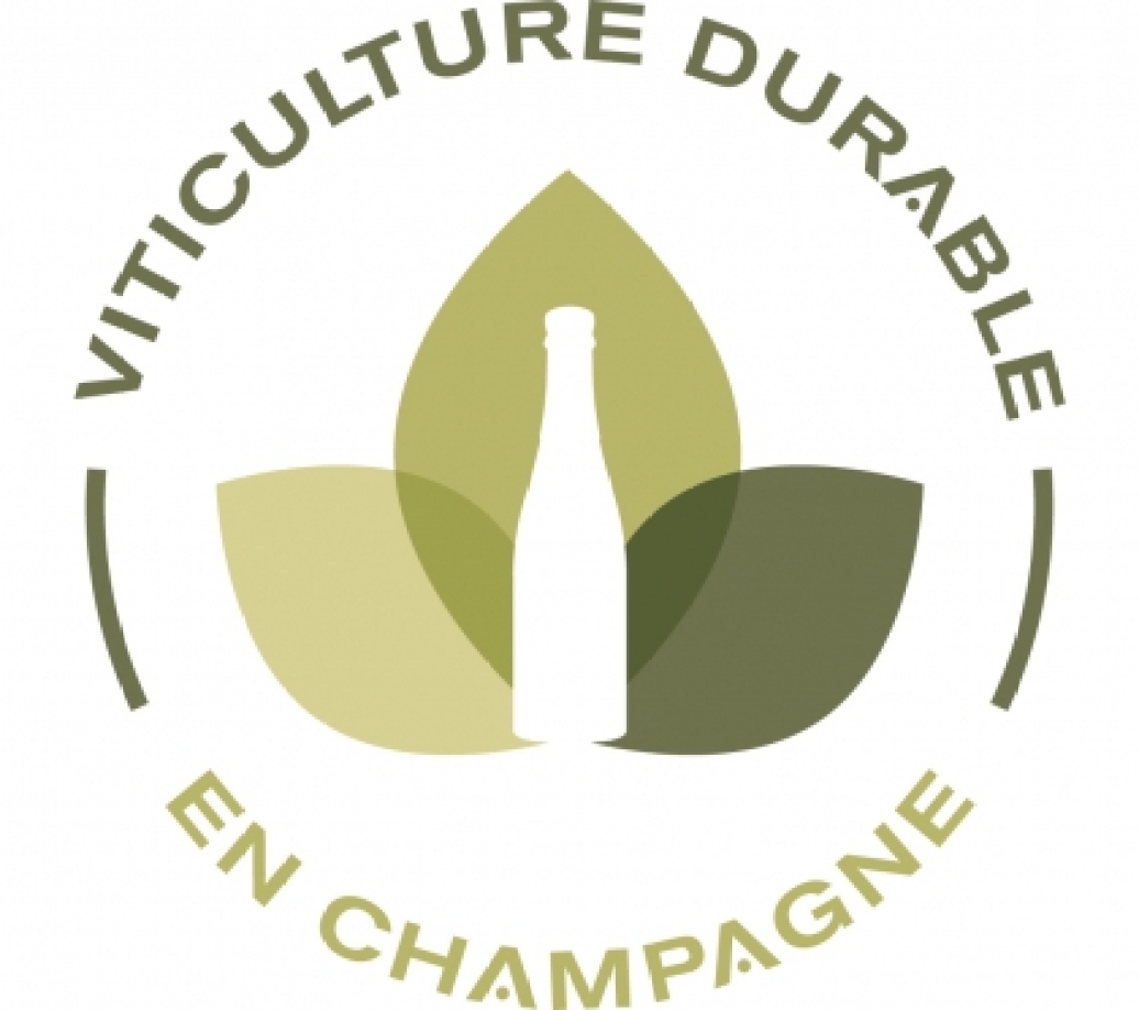 logo_viti_durable